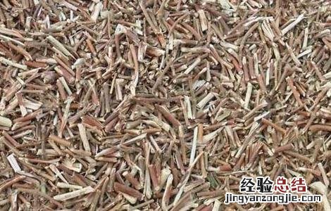 忍冬藤的功效与作用及禁忌症 忍冬藤的功效与作用