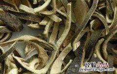 青皮的功效与作用 青皮的功效与作用图片