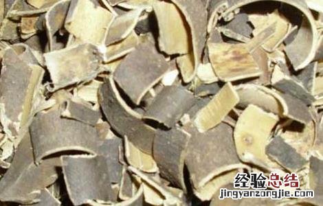 秦皮的功效与作用 秦皮的功效与作用主要治什么病