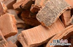 秦皮的功效与作用 秦皮的功效与作用主要治什么病