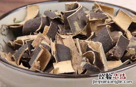 秦皮的功效与作用 秦皮的功效与作用主要治什么病