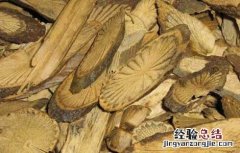 青风藤的功效与作用 青风藤的功效与作用及禁忌