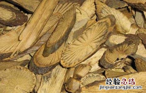 青风藤的功效与作用 青风藤的功效与作用及禁忌