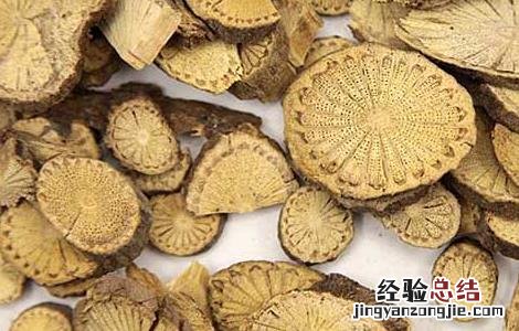 青风藤的功效与作用 青风藤的功效与作用及禁忌