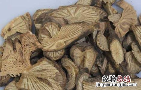 青风藤的功效与作用 青风藤的功效与作用及禁忌