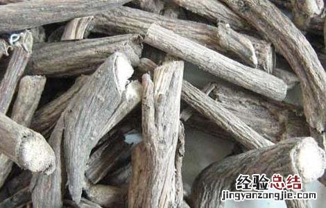 青风藤的功效与作用 青风藤的功效与作用及禁忌