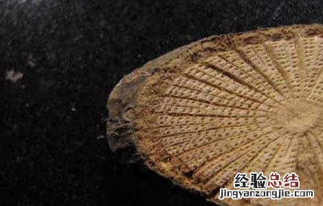 青风藤的功效与作用 青风藤的功效与作用及禁忌