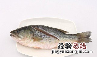 鲈鱼豆腐汤功效与作用 鲈鱼豆腐羹