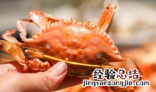 黑螃蟹红螃蟹 黑枣红蟹