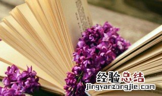 苏轼字子瞻眉州眉山人翻译 苏轼字子瞻眉州眉山人原文