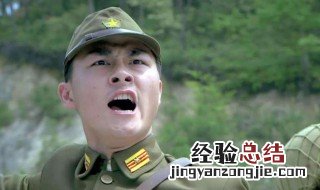 主演是夏安国的是什么电视剧 给大家介绍一下