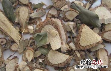 七叶莲的功效与作用 七叶莲_七叶莲的功效与作用