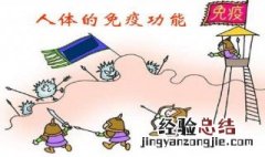 免疫应答分几类,各有什么特点? 免疫应答分为哪两种类型