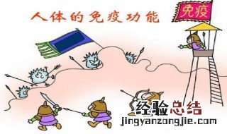 免疫应答分几类,各有什么特点? 免疫应答分为哪两种类型