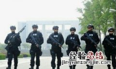 电视剧特警力量凌云扮演者 下面为大家解答