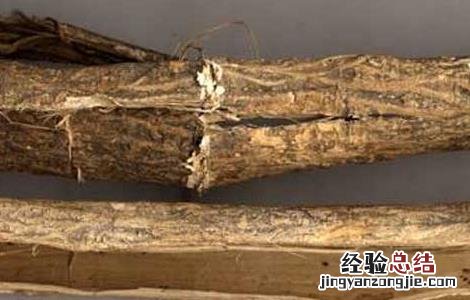 木槿皮的功效与作用点 木槿皮的功效与作用