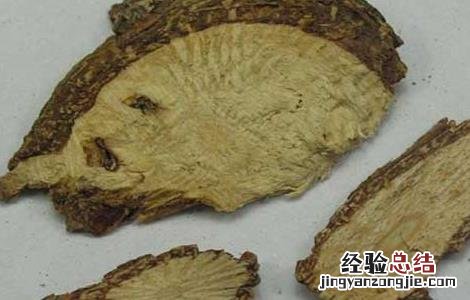 木通的功效与作用 川木通的功效与作用