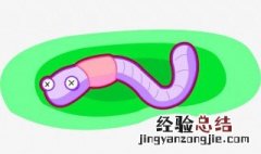 蚯蚓适合什么时候钓鱼 蚯蚓钓鱼最好季节