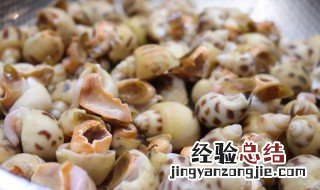 花螺怎么保鲜 如何保存花螺