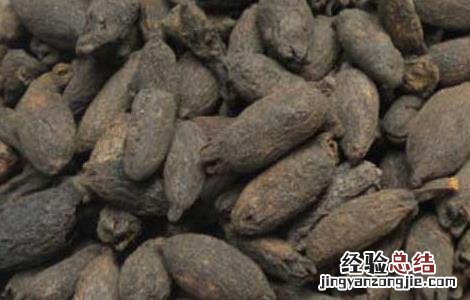 公丁香和母丁香的功效与作用 母丁香的功效与作用
