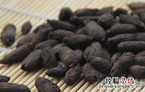 公丁香和母丁香的功效与作用 母丁香的功效与作用