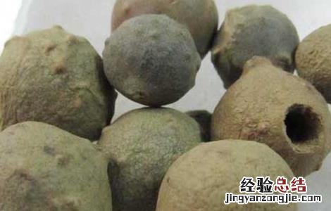 没食子的功效与作用 没食子的功效与作用和毒性
