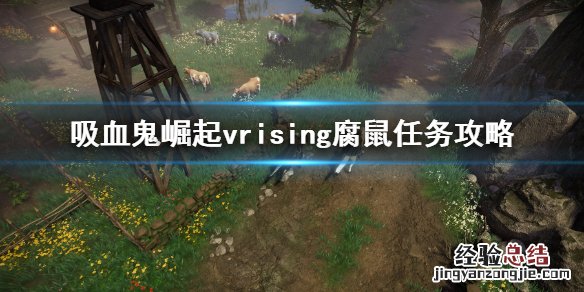 v vivo