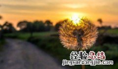 关于关怀的唯美句子 关于关怀的唯美句子精选