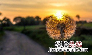 关于关怀的唯美句子 关于关怀的唯美句子精选