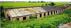 小型养殖有什么好项目，根据市场和实际情况选择项目