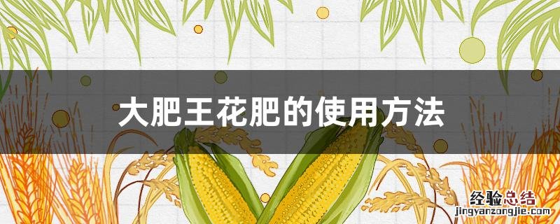 大肥王花肥的使用方法视频 大肥王花肥的使用方法