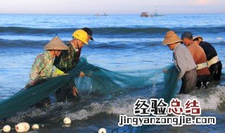 什么鱼煮粥比较好吃 什么鱼适合煮粥
