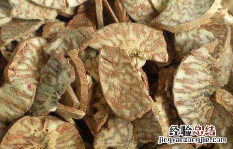 马槟榔的功效与作用 马槟榔的功效与作用