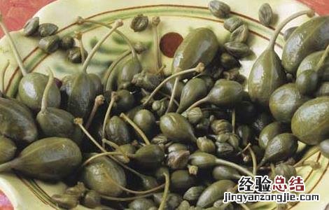 马槟榔的功效与作用 马槟榔的功效与作用