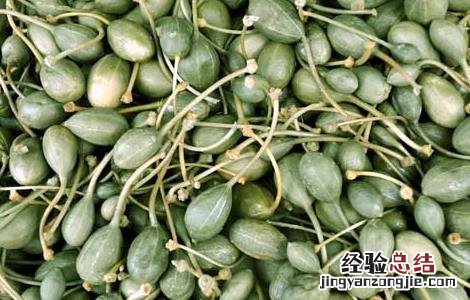 马槟榔的功效与作用 马槟榔的功效与作用