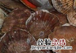 夏威夷贝能生吃吗 夏威夷贝哪些部位不能吃