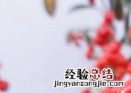 吉祥果花如何养 吉祥果花如何养殖