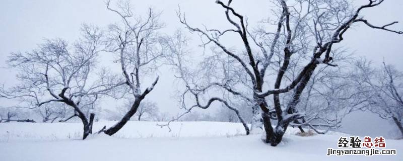 4毫米雪有多厚 四毫米的雪有多大图片