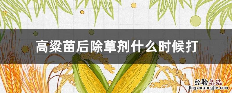 高粱苗后除草剂可以打几次 高粱苗后除草剂什么时候打