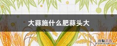 大蒜施什么肥蒜头大 大蒜怎么施肥蒜头大
