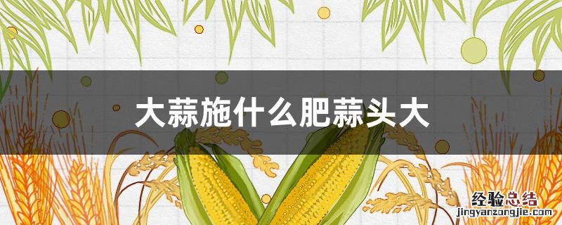 大蒜施什么肥蒜头大 大蒜怎么施肥蒜头大