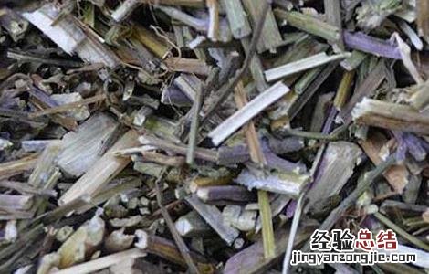 紫苏梗的功效与作用 紫苏梗的功效与作用图片