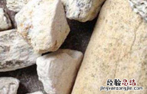 龙骨的功效与作用与主治用量 龙骨的功效与作用