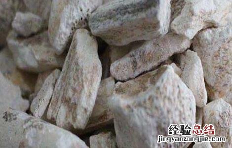 龙骨的功效与作用与主治用量 龙骨的功效与作用