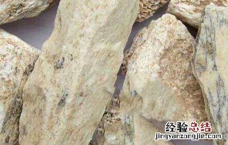 龙骨的功效与作用与主治用量 龙骨的功效与作用