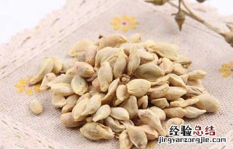 橘核的功效与作用及禁忌症 橘核的功效与作用