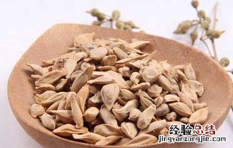橘核的功效与作用及禁忌症 橘核的功效与作用