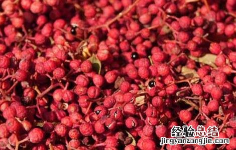 椒目的功效与作用图片 椒目的功效与作用