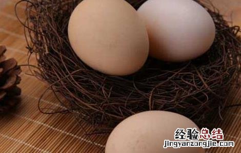 鸡子白的功效与作用 鸡子的功效和作用