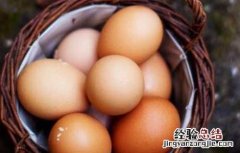 鸡子白的功效与作用 鸡子的功效和作用